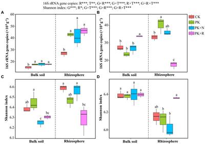 Long-term fertilization coupled with rhizobium inoculation promotes soybean yield and alters soil bacterial community composition